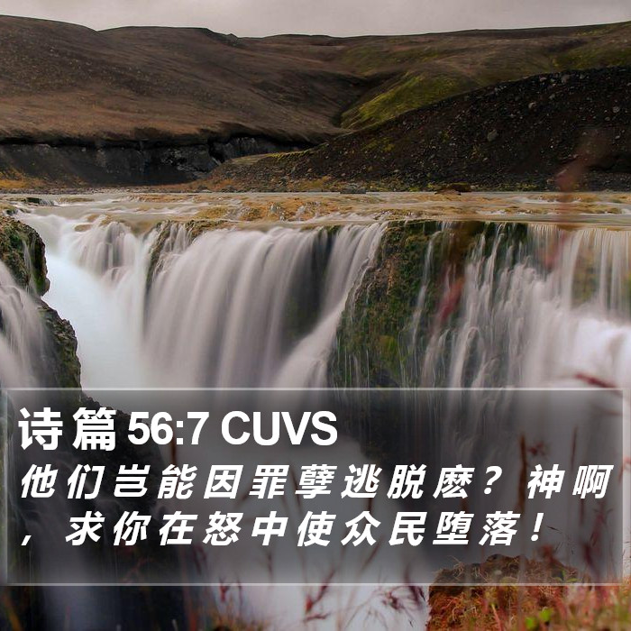 诗 篇 56:7 CUVS Bible Study