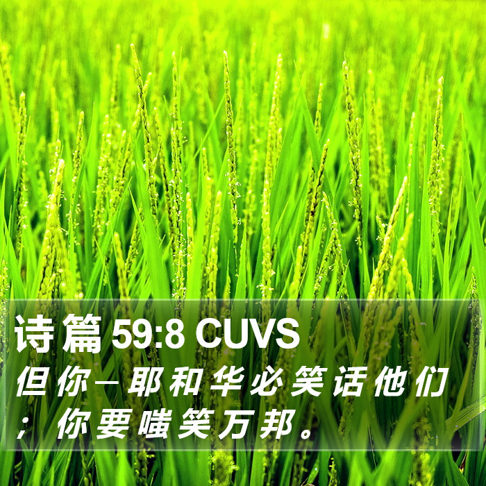 诗 篇 59:8 CUVS Bible Study