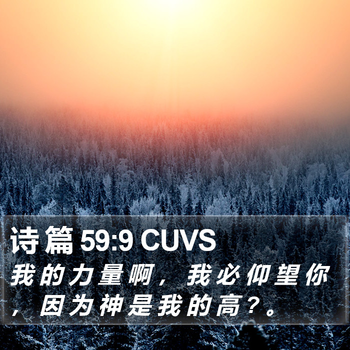 诗 篇 59:9 CUVS Bible Study