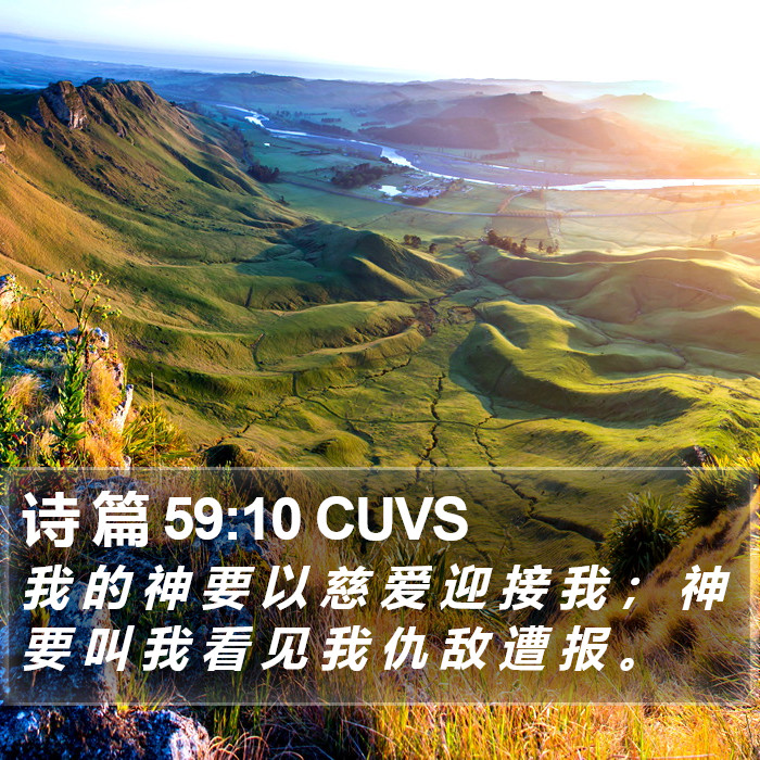 诗 篇 59:10 CUVS Bible Study