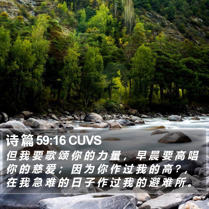 诗 篇 59:16 CUVS Bible Study