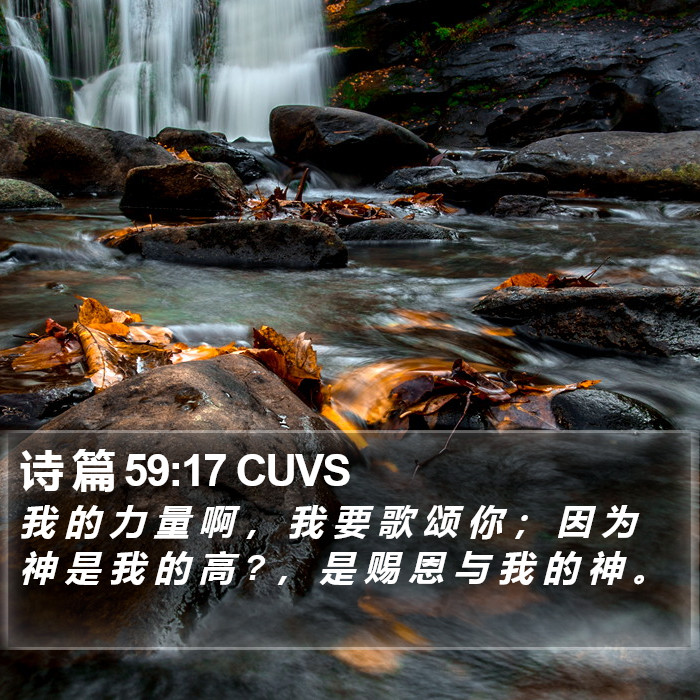 诗 篇 59:17 CUVS Bible Study