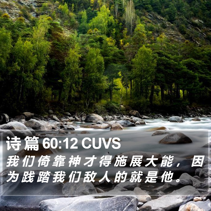 诗 篇 60:12 CUVS Bible Study