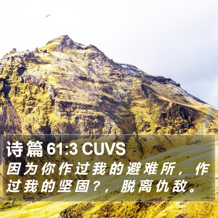诗 篇 61:3 CUVS Bible Study