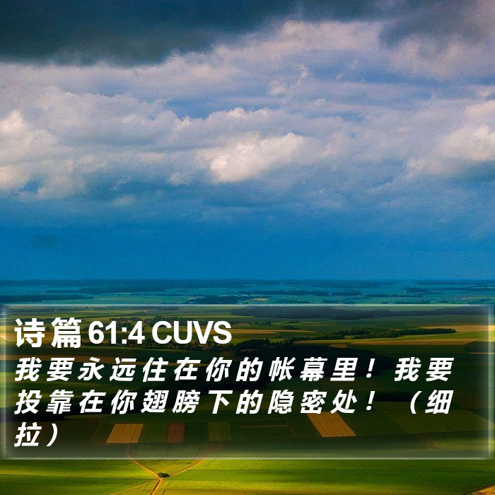 诗 篇 61:4 CUVS Bible Study