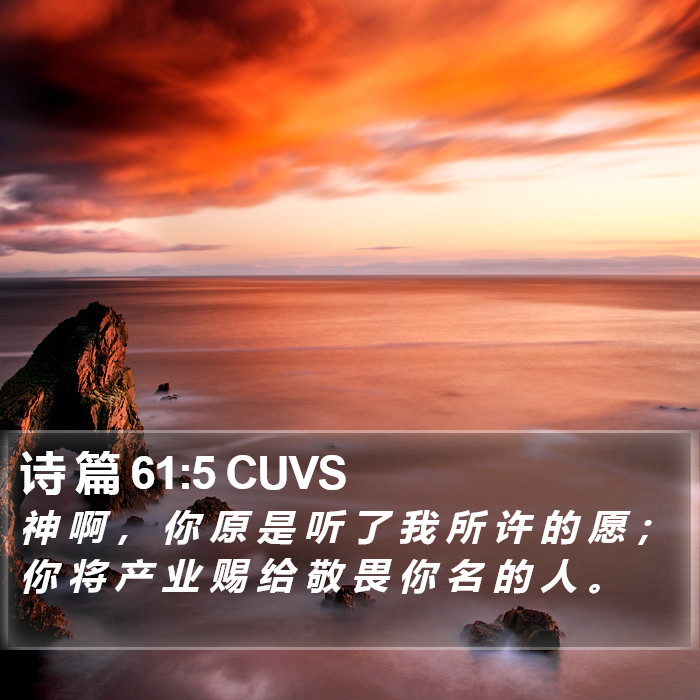 诗 篇 61:5 CUVS Bible Study