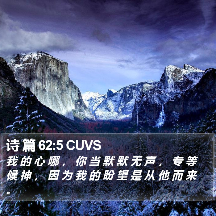 诗 篇 62:5 CUVS Bible Study