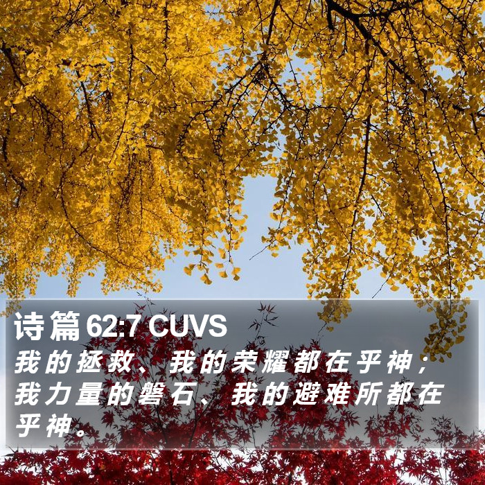 诗 篇 62:7 CUVS Bible Study