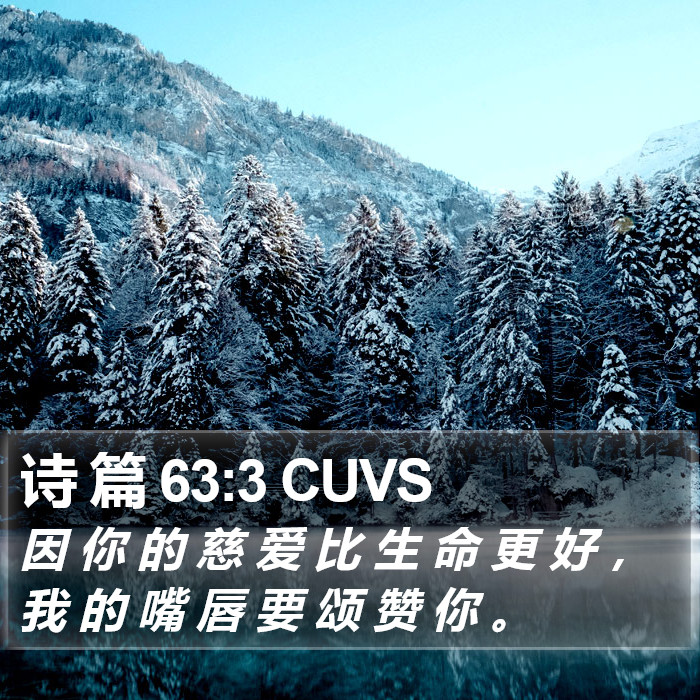 诗 篇 63:3 CUVS Bible Study