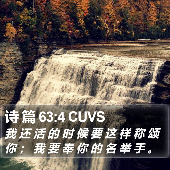 诗 篇 63:4 CUVS Bible Study