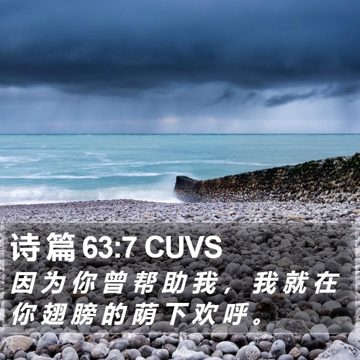 诗 篇 63:7 CUVS Bible Study