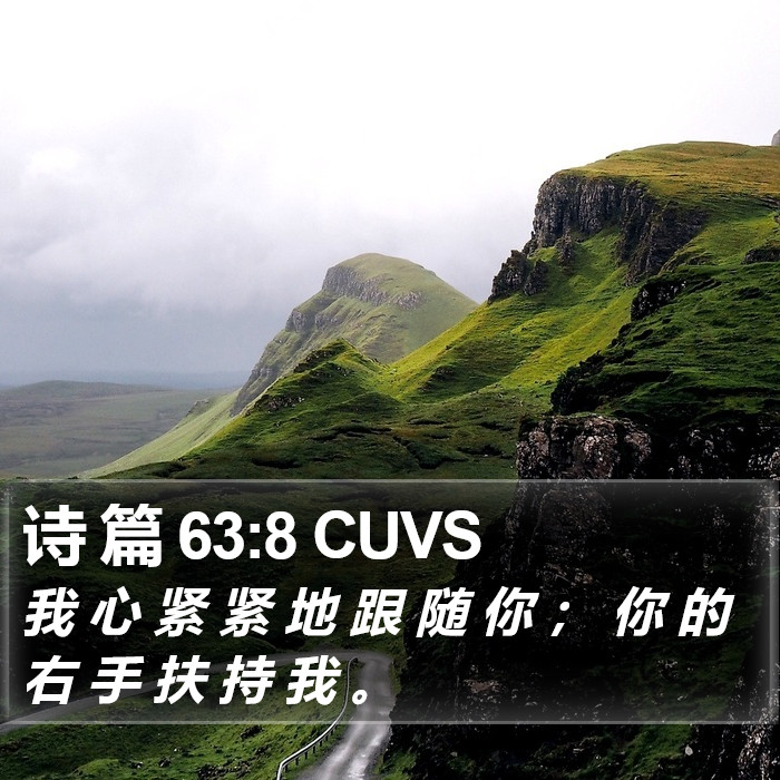诗 篇 63:8 CUVS Bible Study