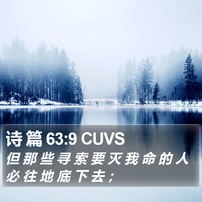 诗 篇 63:9 CUVS Bible Study