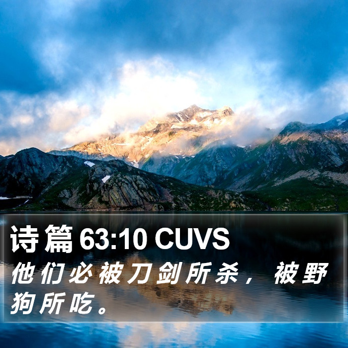 诗 篇 63:10 CUVS Bible Study