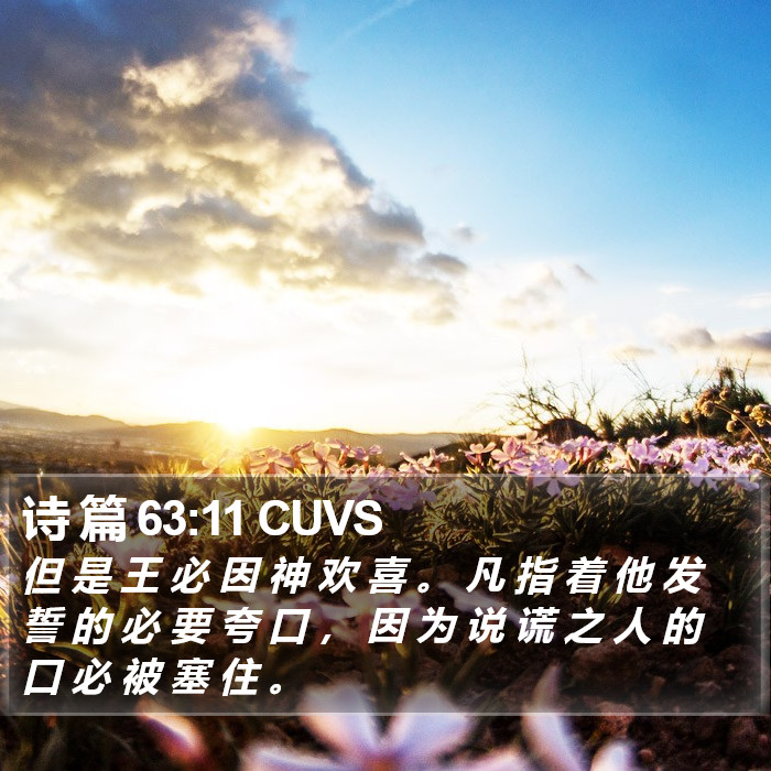 诗 篇 63:11 CUVS Bible Study