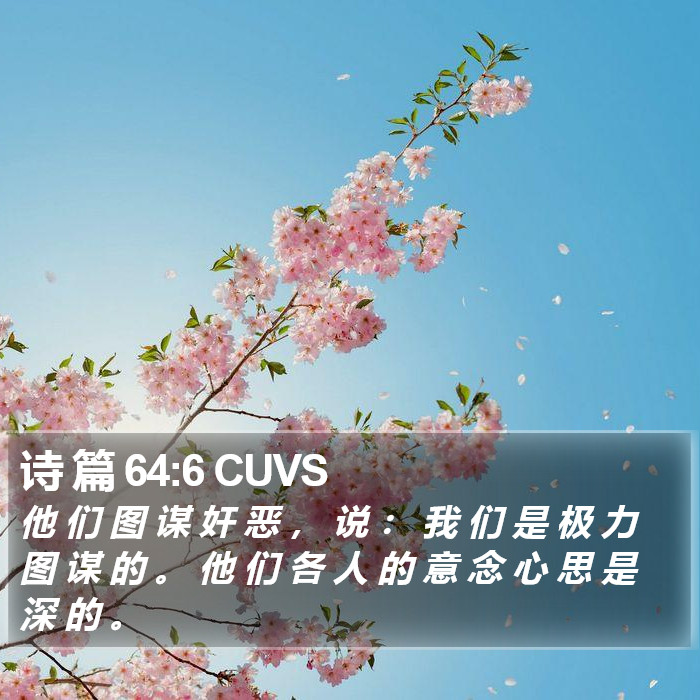 诗 篇 64:6 CUVS Bible Study