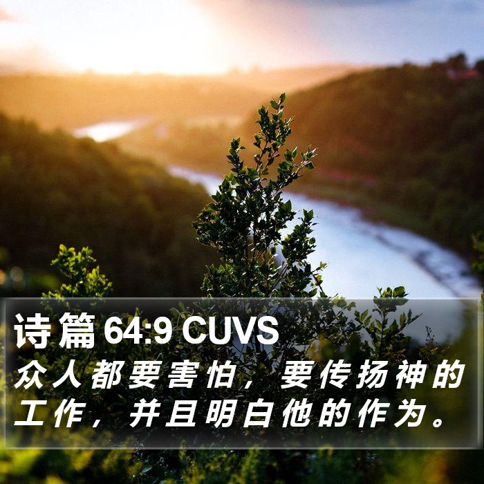 诗 篇 64:9 CUVS Bible Study