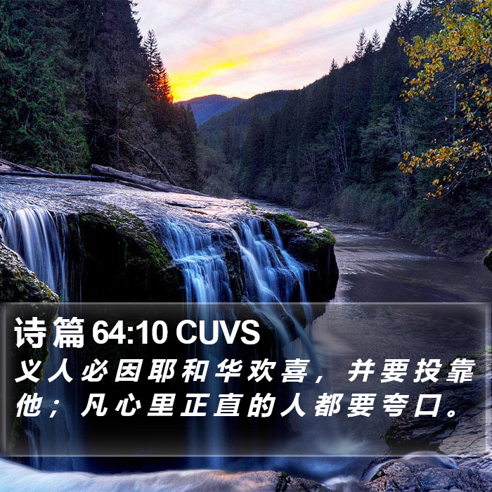 诗 篇 64:10 CUVS Bible Study