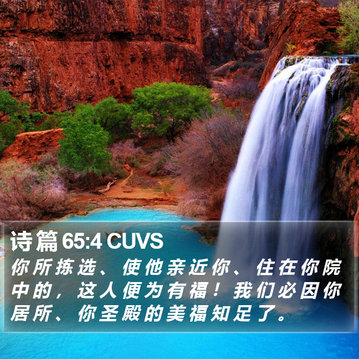 诗 篇 65:4 CUVS Bible Study
