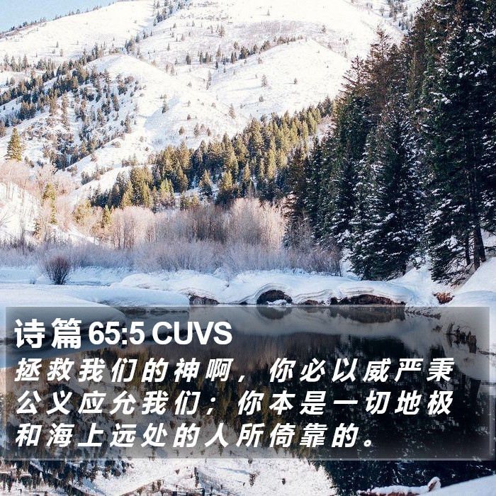 诗 篇 65:5 CUVS Bible Study