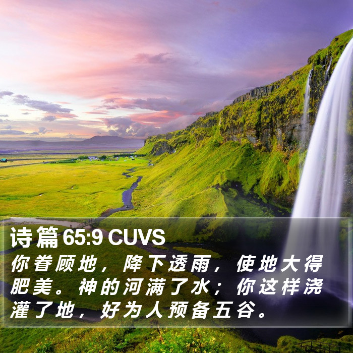 诗 篇 65:9 CUVS Bible Study