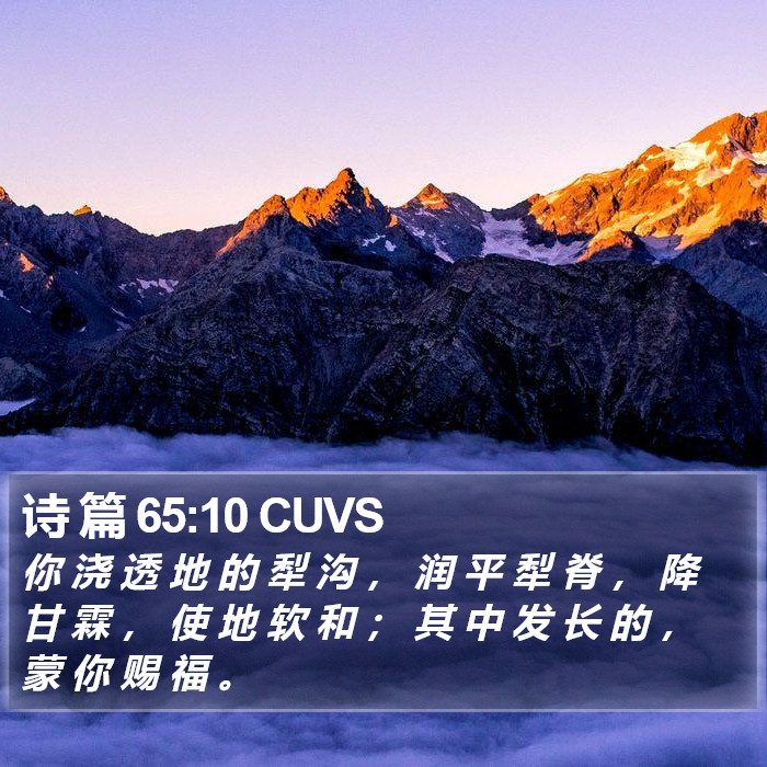 诗 篇 65:10 CUVS Bible Study