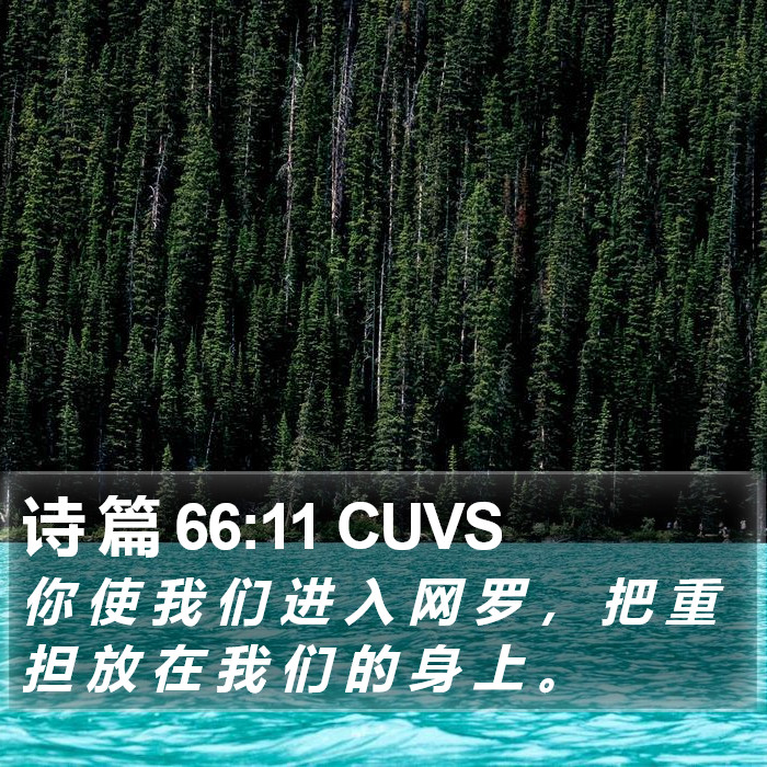 诗 篇 66:11 CUVS Bible Study