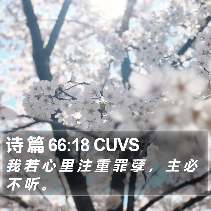 诗 篇 66:18 CUVS Bible Study