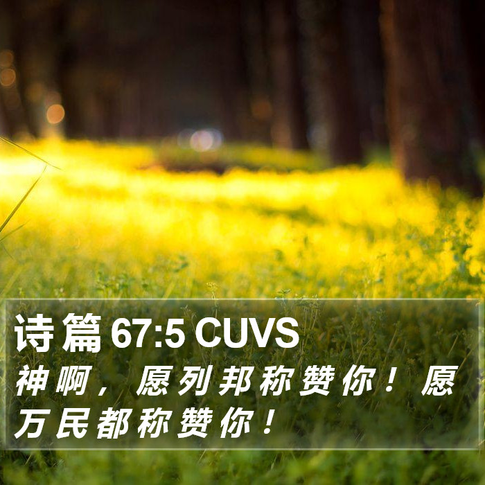诗 篇 67:5 CUVS Bible Study