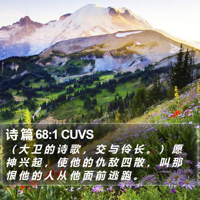 诗 篇 68:1 CUVS Bible Study