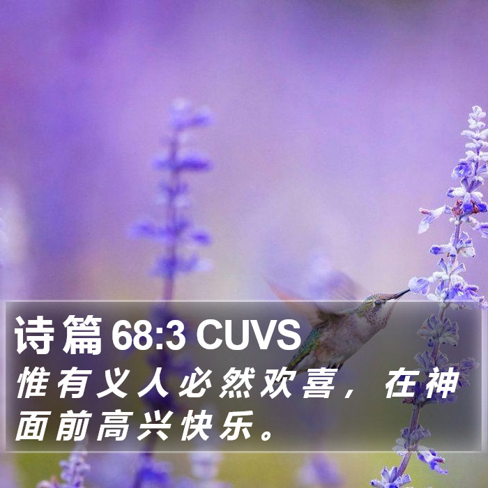 诗 篇 68:3 CUVS Bible Study