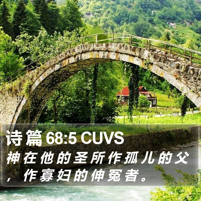 诗 篇 68:5 CUVS Bible Study