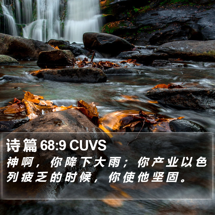 诗 篇 68:9 CUVS Bible Study