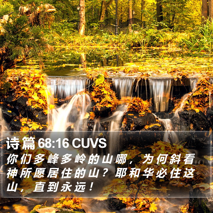 诗 篇 68:16 CUVS Bible Study