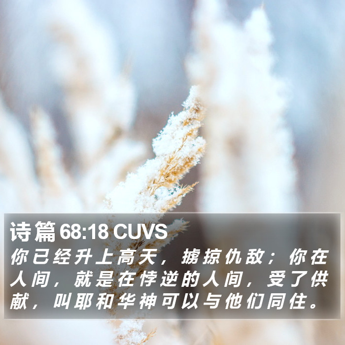 诗 篇 68:18 CUVS Bible Study