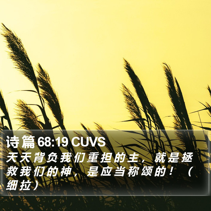 诗 篇 68:19 CUVS Bible Study