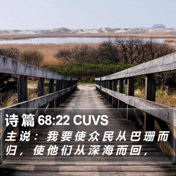 诗 篇 68:22 CUVS Bible Study