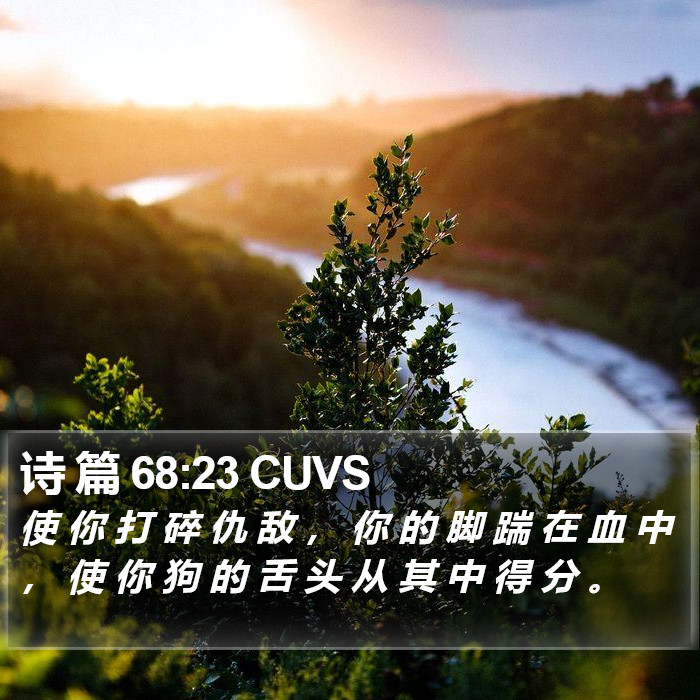 诗 篇 68:23 CUVS Bible Study