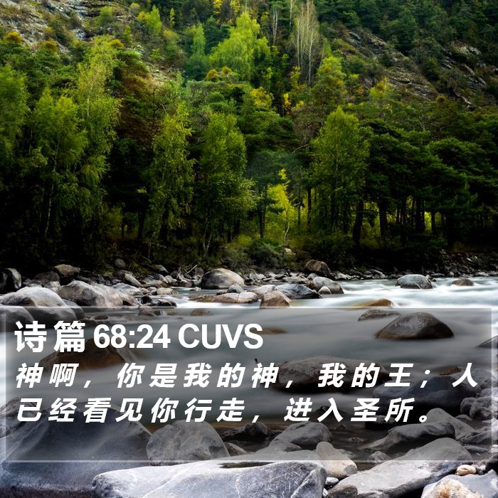 诗 篇 68:24 CUVS Bible Study