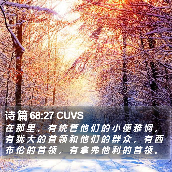 诗 篇 68:27 CUVS Bible Study