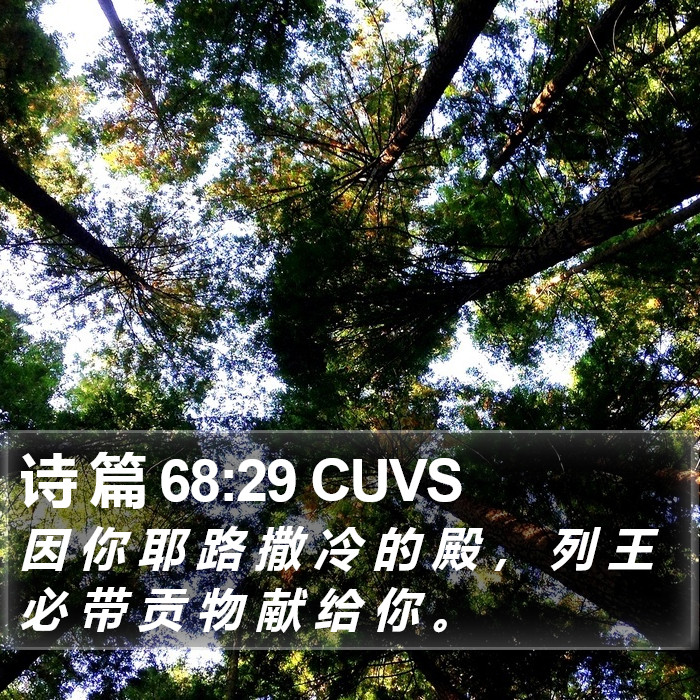 诗 篇 68:29 CUVS Bible Study