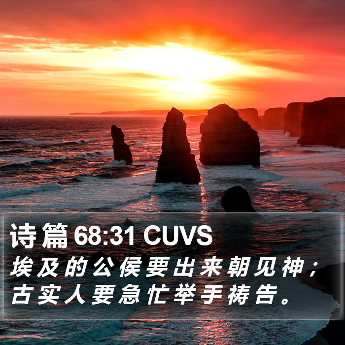 诗 篇 68:31 CUVS Bible Study