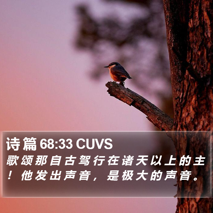 诗 篇 68:33 CUVS Bible Study