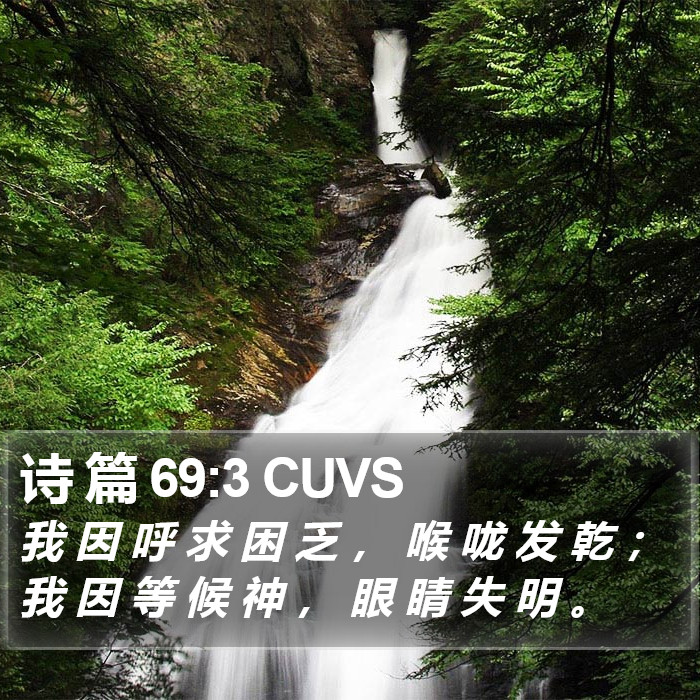 诗 篇 69:3 CUVS Bible Study