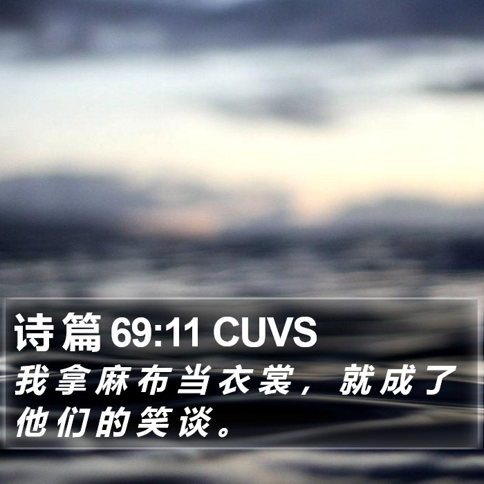 诗 篇 69:11 CUVS Bible Study
