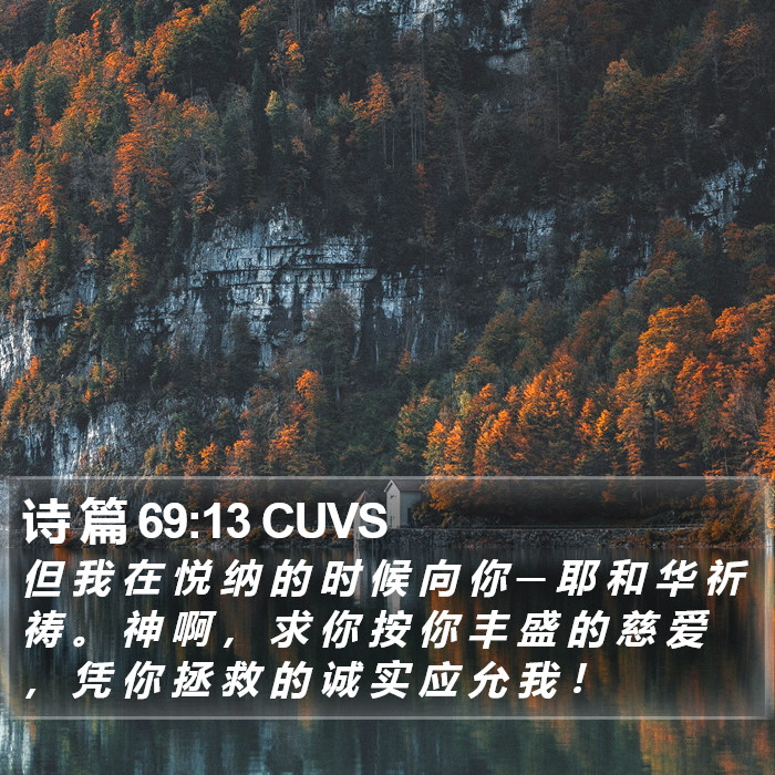 诗 篇 69:13 CUVS Bible Study