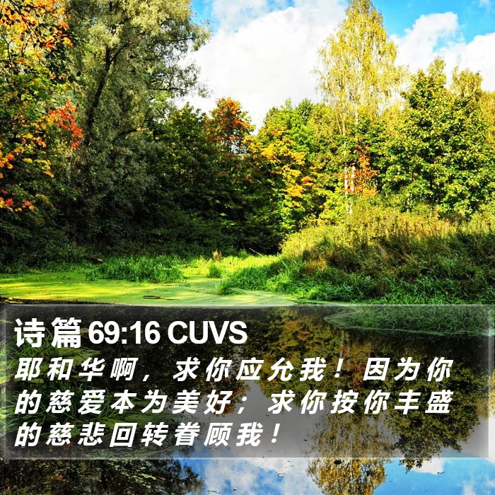 诗 篇 69:16 CUVS Bible Study