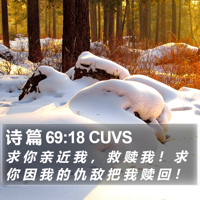 诗 篇 69:18 CUVS Bible Study