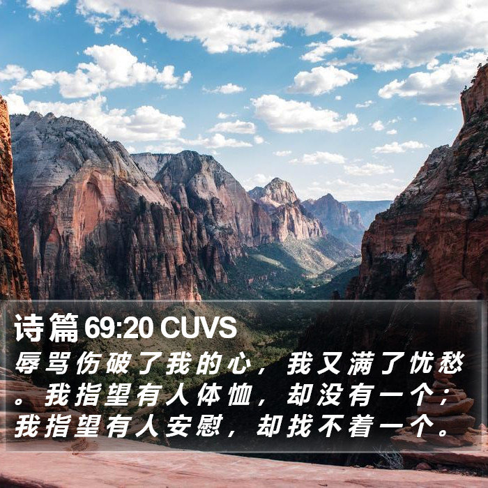 诗 篇 69:20 CUVS Bible Study