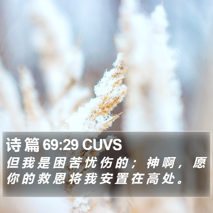 诗 篇 69:29 CUVS Bible Study